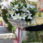 batmayan Güneşim